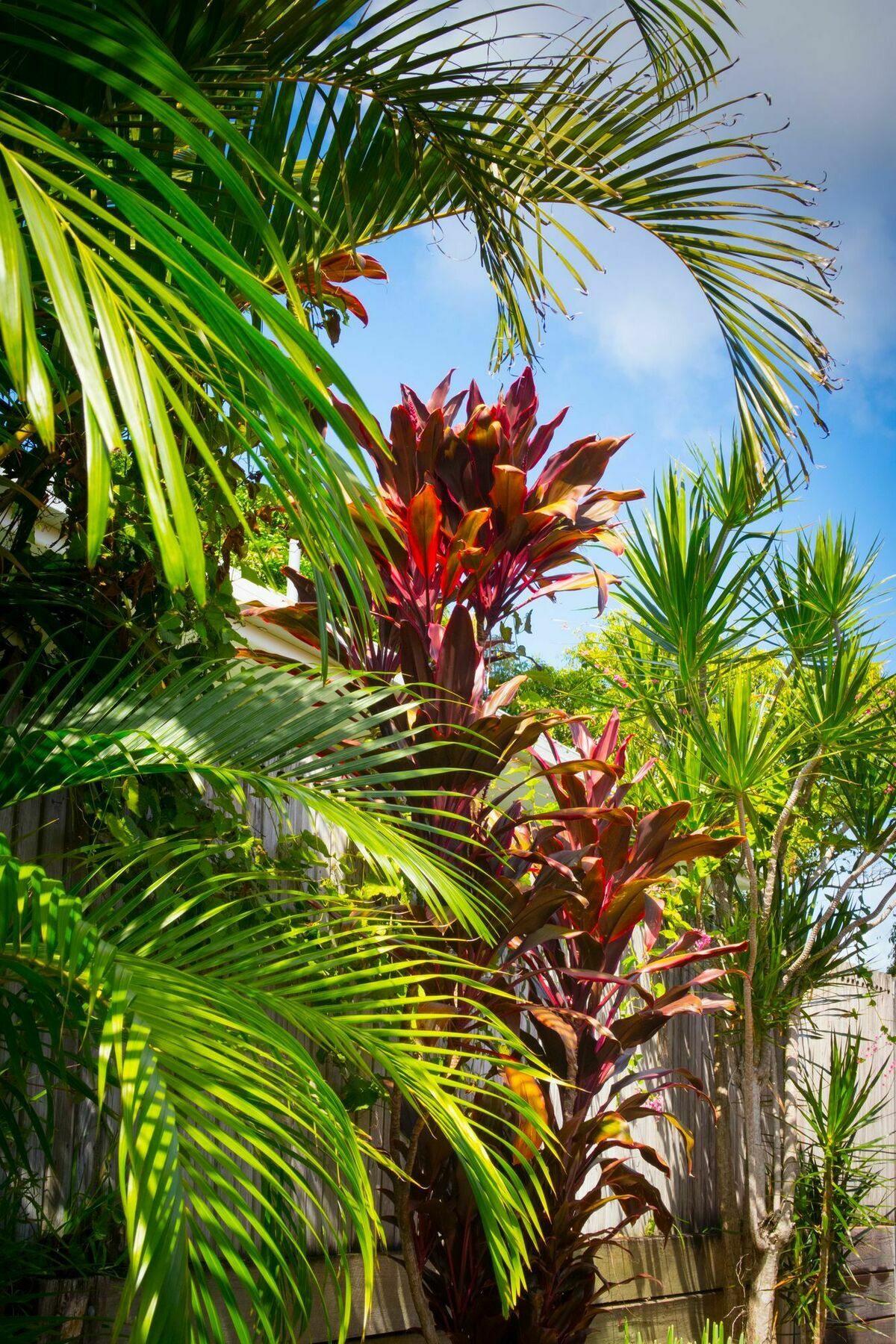 Ruskin House Byron Bay Extérieur photo